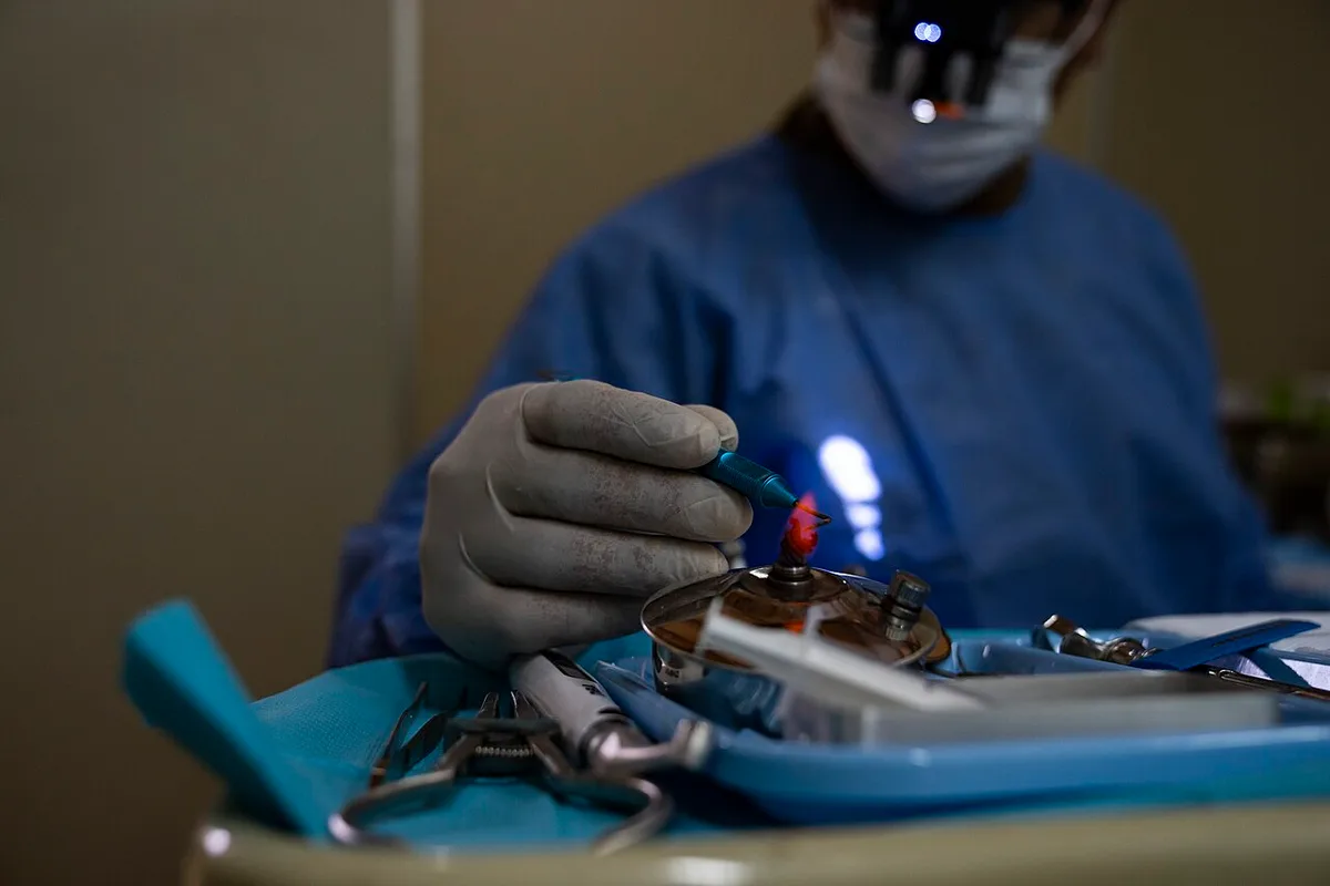 U S , Paraguayan dental teams perform first endodontic procedures during AMISTAD 2025 (9251561)